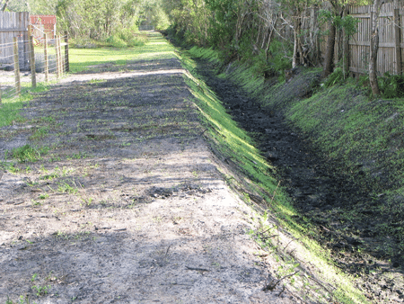 Cleared and Dredged Drainage Ditch