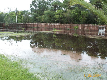 Flooded Yard Caused by Poor Drainage