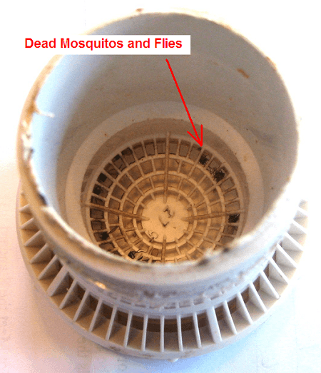 Studor Mini Vent Clogged with Insects