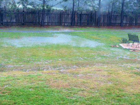 Grassy Drainage Swale in Heavy Rain