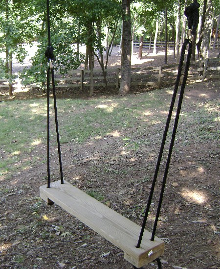 Rope Tree Swing