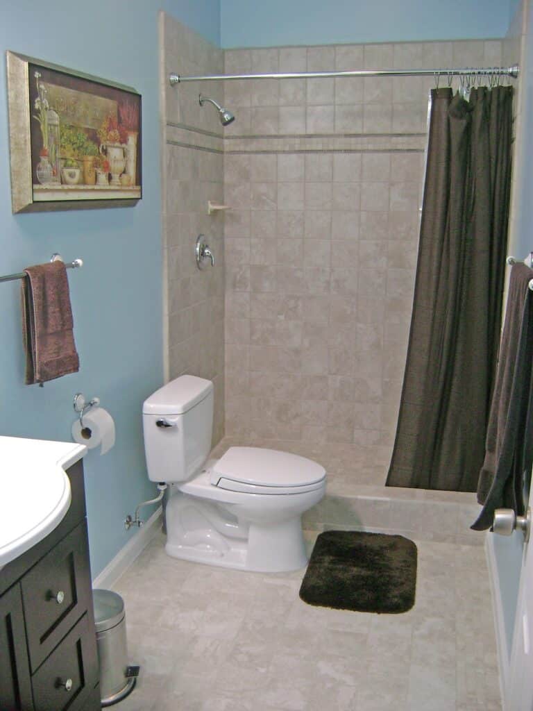 Finished Basement Bathroom - Toilet and Shower