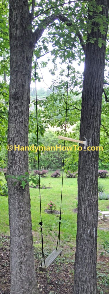 Rope Tree Swing and High Branch
