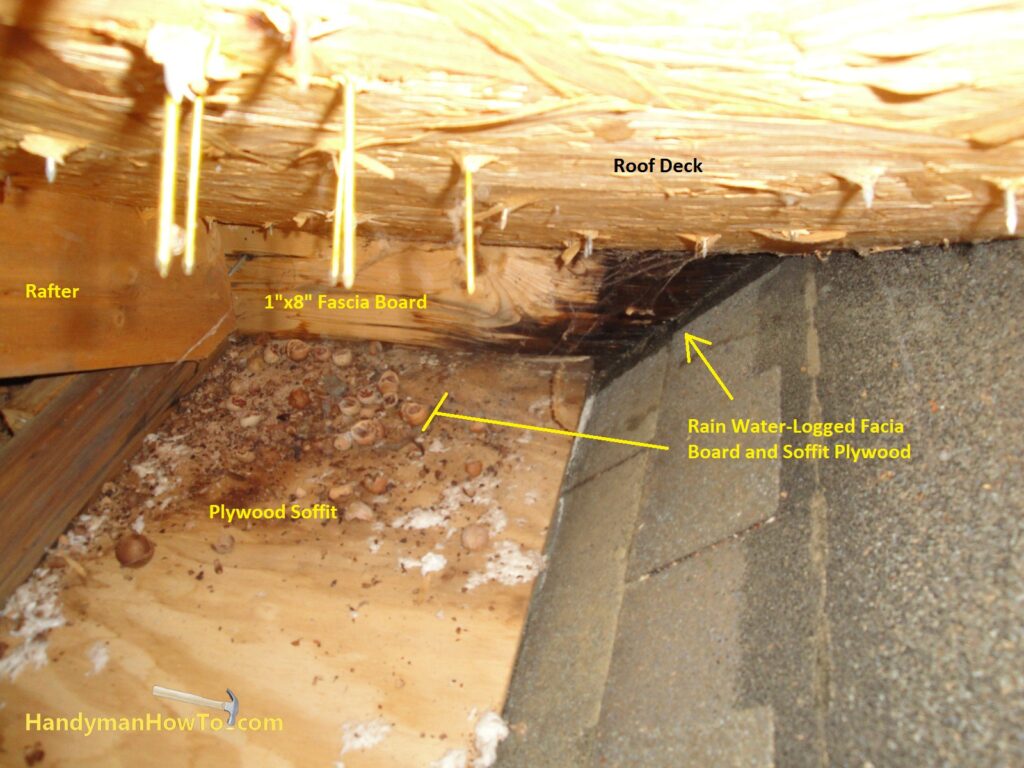 Rotted Fascia Board: Rain Water Leaking on the Fascia and Soffit