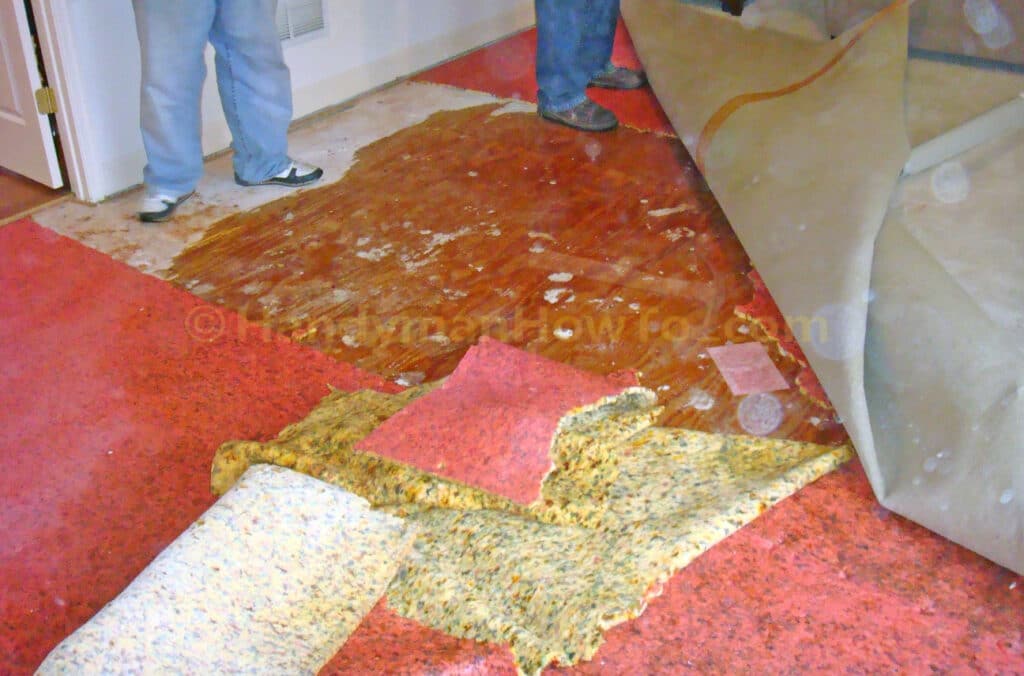 Polybutylene Pipe Leak - Flooded Carpets
