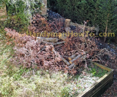 Dead Oak Tree Dropped in Sections by a Tree Service Company