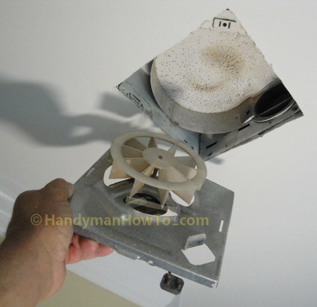 Bathroom Ceiling Fan Removal: Motor and Motor Plate
