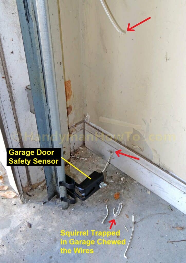 Damaged Garage Door Safety Sensor Wires