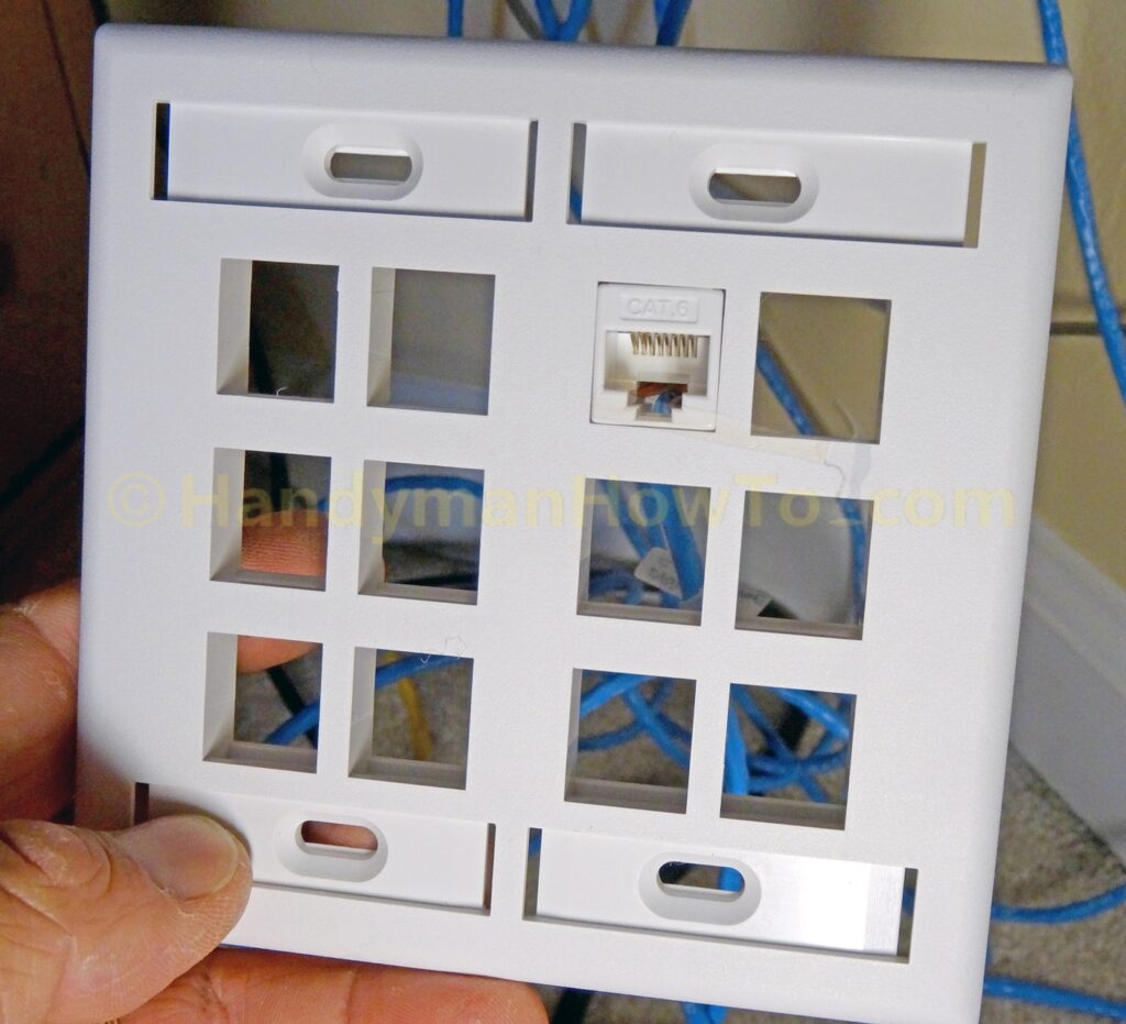 12 Port Ethernet Wall Plate and Jack