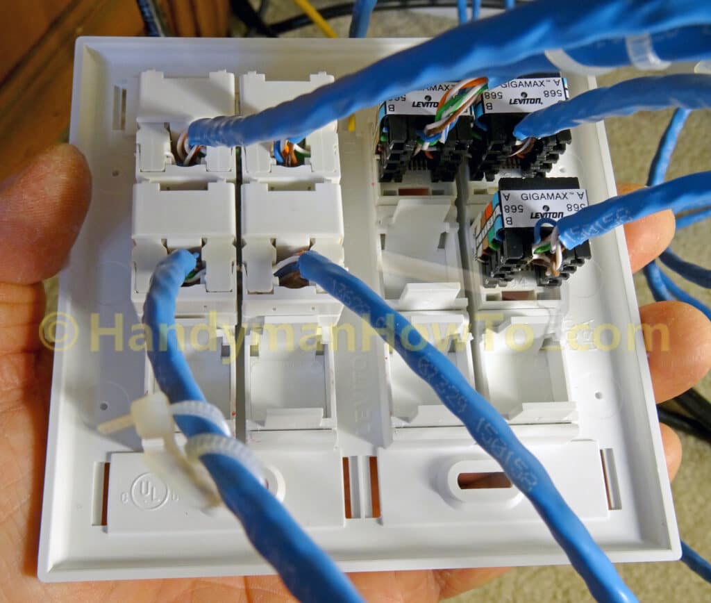 Cat6 Cat5e Ethernet Jack and Wall Plate Wiring